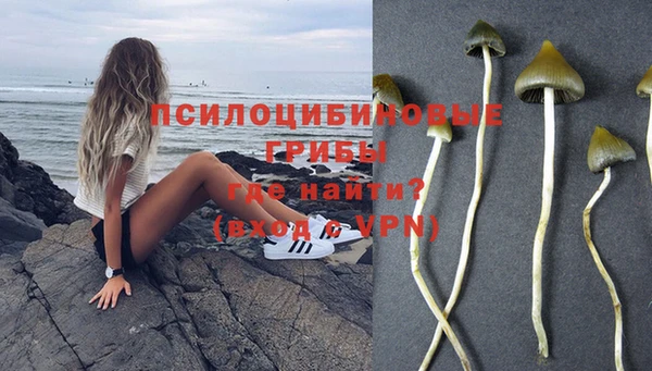 МДМА Дмитров